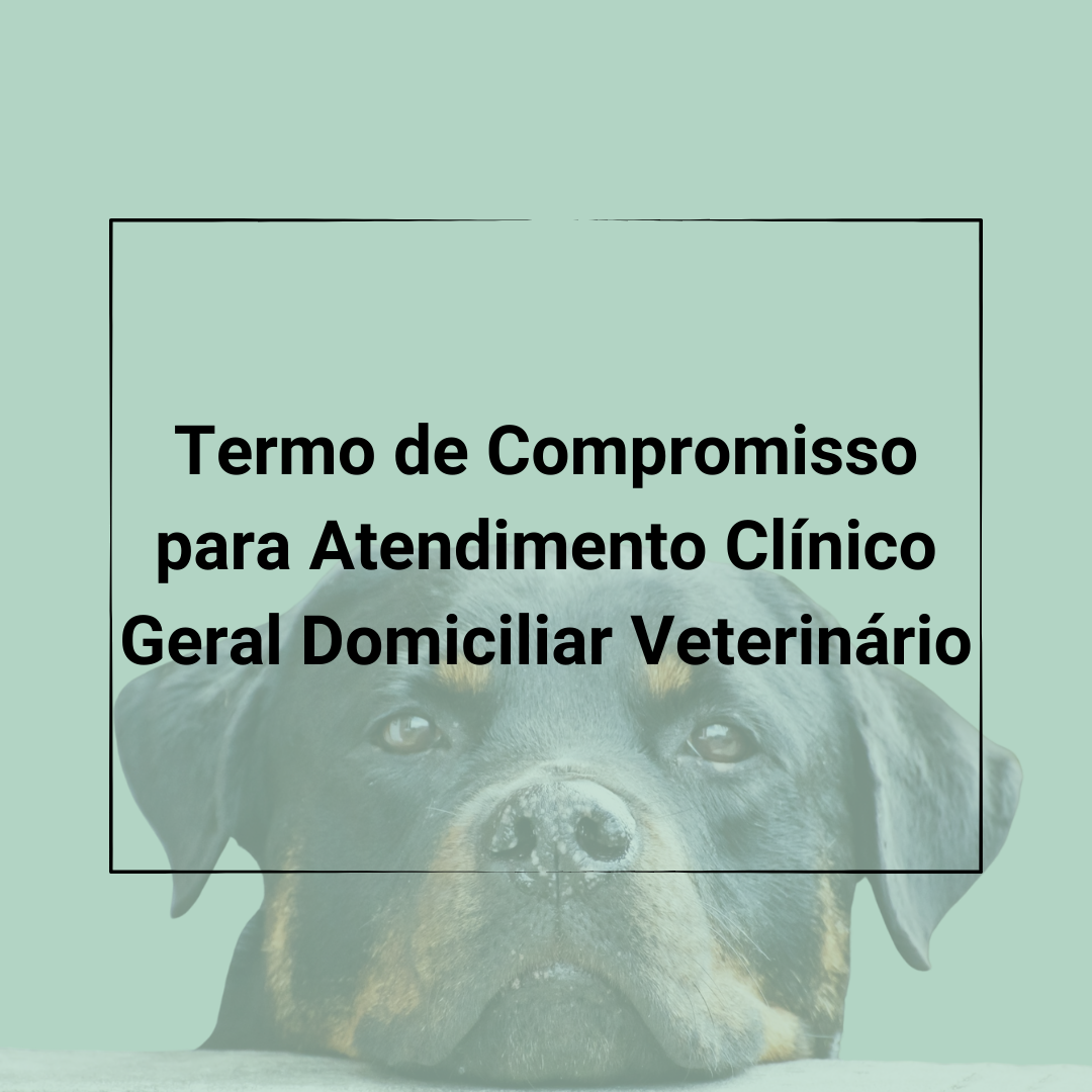 Atendimento domiciliar