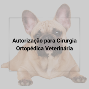 Contratos Veterinários - Contrato de Autorização para Procedimento Cirúrgico Ortopédico Veterinário