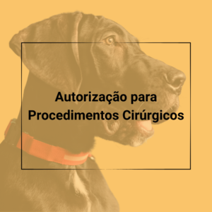 Contratos Veterinários - Termos e Contrato para Autorização para Procedimentos Cirúrgicos