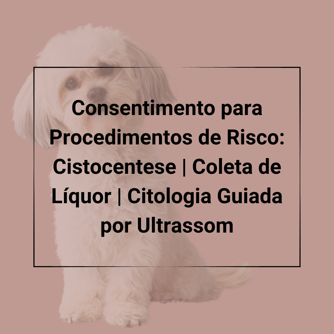 Procedimentos de Risco1