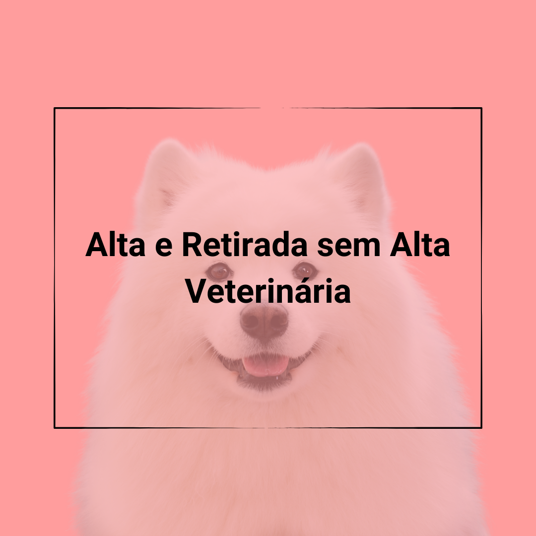 alta e sem alta