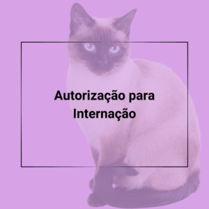 Contratos Veterinários - Termo e Contrato de Autorização para Internação